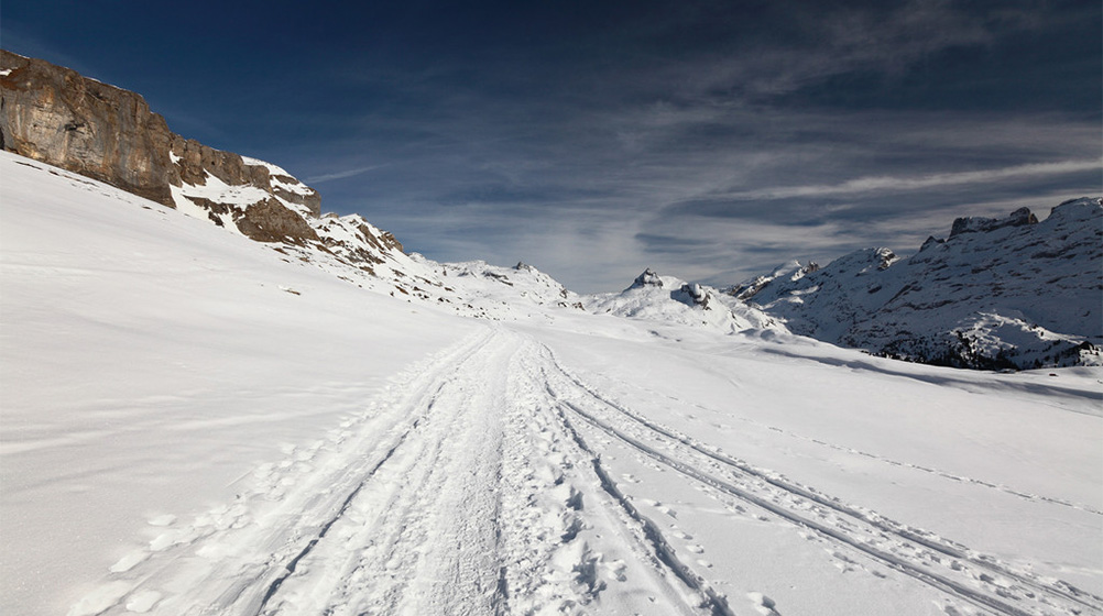 新葡萄(8883·AMG)官方网站|中国游