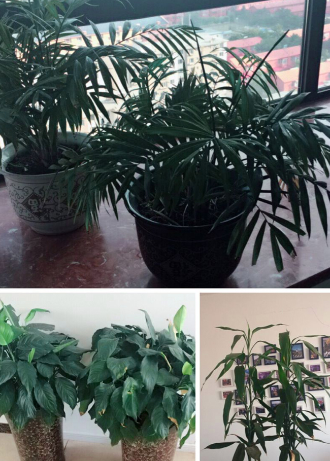 新葡萄(8883·AMG)官方网站|中国游